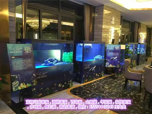 肇慶馬戲團(tuán)表演出租 為各類(lèi)活動(dòng)增添歡笑的專(zhuān)業(yè)選擇